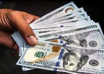 هیچ ارزی نباید از دید بانک مرکزی مخفی بماند