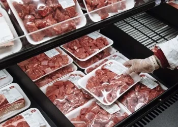 خرید حمایتی گوشت گوساله کلید خورد