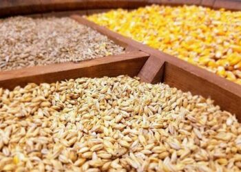 هشدار سازمان بازرسی درباره تخلفات نهادههای دامی | الزام وزارت جهاد به اصلاح بازارگاه