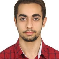 امیرحسین دلورشاهولی زاده | نویسنده وبسایت چارسو اقتصاد