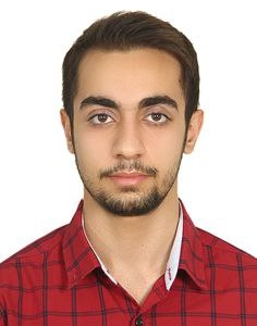 امیرحسین دلورشاهولی زاده | نویسنده وبسایت چارسو اقتصاد