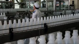 اصلاح قیمت شیر خام در دستور کار وزارت جهاد کشاورزی؛ بازنگری نرخ خرید شیر به‌زودی اعلام می‌شود