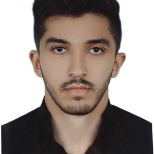 حامد سلیمانی | نویسنده وبسایت خبری تحلیلی چارسو اقتصاد