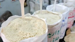 وزیر جهاد کشاورزی: حذف ارز ترجیحی برنج می‌تواند قیمت را تا ۱۵ درصد کاهش دهد