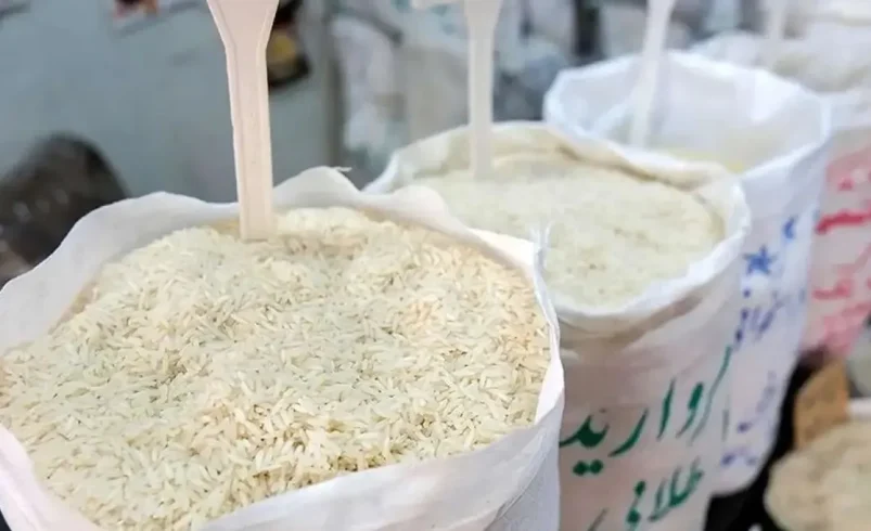 وزیر جهاد کشاورزی در حال تشریح تاثیر حذف ارز ترجیحی بر قیمت برنج وارداتی