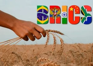 سهم ۲۵ میلیارد دلاری بریکس از تجارت کشاورزی ایران