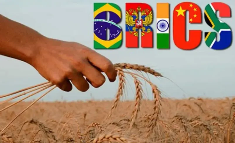 سهم ۲۵ میلیارد دلاری بریکس از تجارت کشاورزی ایران