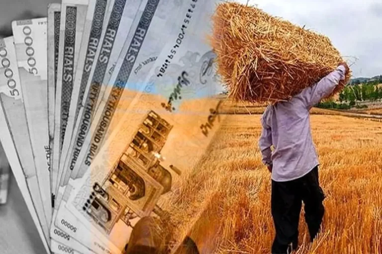 وعده پرداخت ۱۱۰ همت از مطالبات گندمکاران تا ۲۲ مرداد