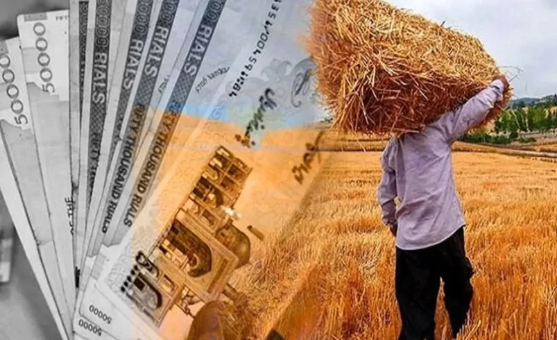 وعده پرداخت ۱۱۰ همت از مطالبات گندمکاران تا ۲۲ مرداد - چارسو اقتصاد