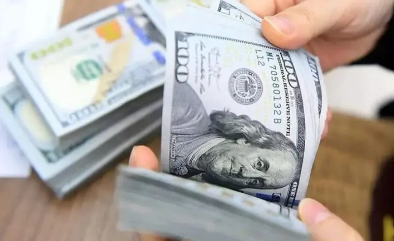 قیمت دلار و قیمت یورو امروز دوشنبه ۲۶ مرداد ۱۴۰۵
