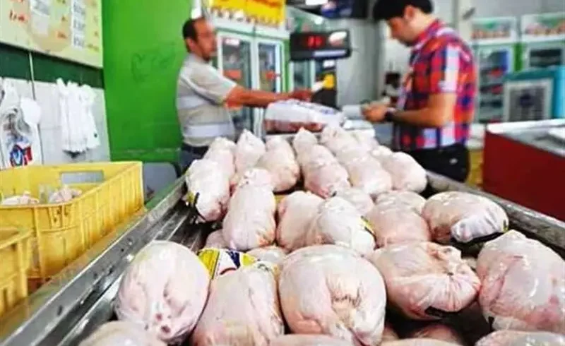 خرید حمایتی مرغ با نرخ ۳۳۵ هزار تومان آغاز شد - چارسو اقتصاد