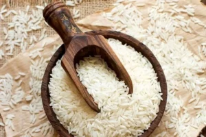 تولید برنج ایران ۱۶ درصد افزایش یافت؛ برداشت از ۹۰ درصد گذشت
