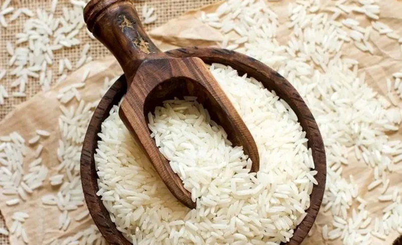 تولید برنج ایران ۱۶ درصد افزایش یافت؛ برداشت از ۹۰ درصد گذشت - تحلیل اقتصادی - چارسو اقتصاد افزایش ۱۶ درصدی تولید برنج ایران در سال ۱۴۰۵ و برداشت شالیزار