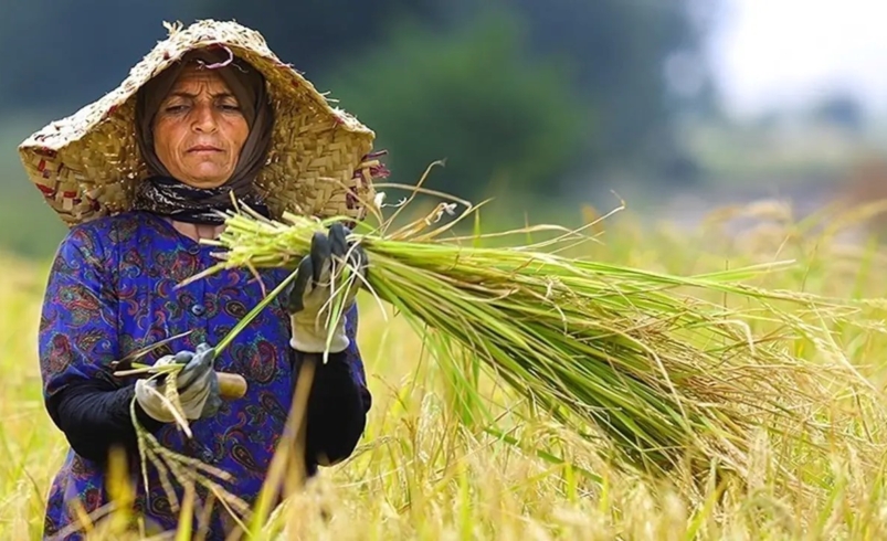 بیمه رایگان ۳۷۵ هزار مادر روستایی؛ گامی بزرگ در توسعه عدالت اجتماعی و پوشش حمایتی - چارسو اقتصاد