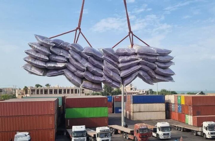 مطالبات ارزی واردکنندگان کالای اساسی چه زمانی پرداخت می‌شود؟ بررسی وعده وزیر جهاد کشاورزی